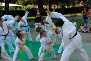 2012.06 Vanzago Judo (21)